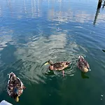 Maduco Waterfront * Nyborg