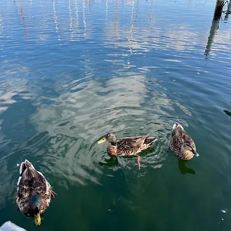 Maduco Waterfront * ניבורג