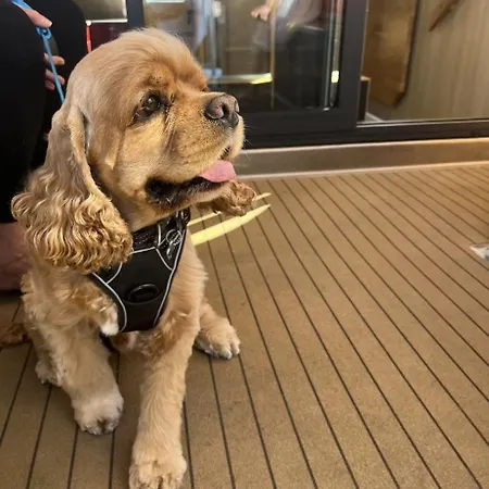 Botel Maduco Waterfront